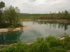Lône connectée à la rivière d'Ain